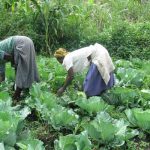 Youth should change attitude towards agriculture